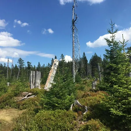 66 - Cista V Krkonosich Černý Dŭl