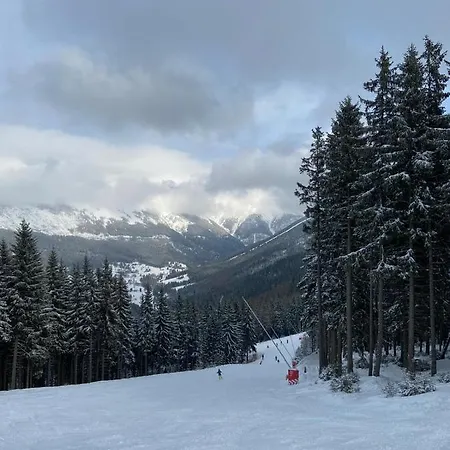 66 - Cista V Krkonosich * Černý Dŭl