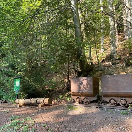 66 - Cista V Krkonosich *